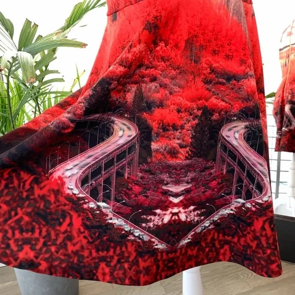 Ted Baker Skater dress Bridge to nowhere print size 10 - Picture 4 of 4